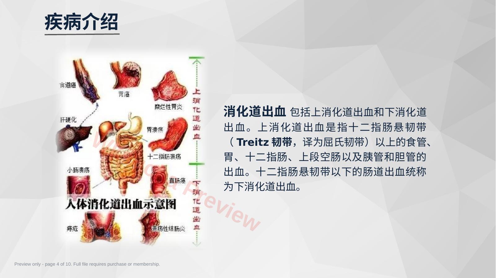 预览第 4 页