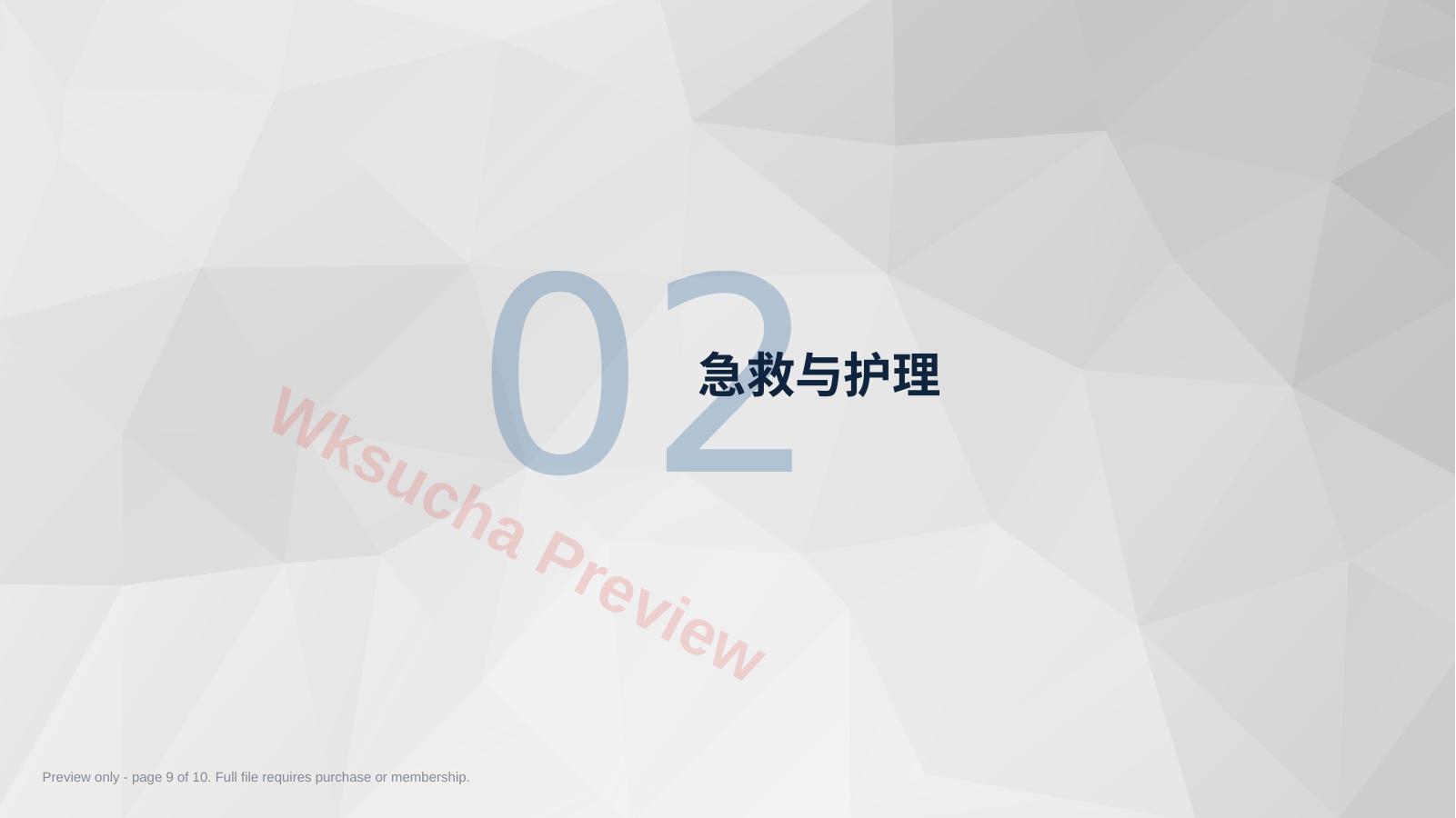预览第 9 页