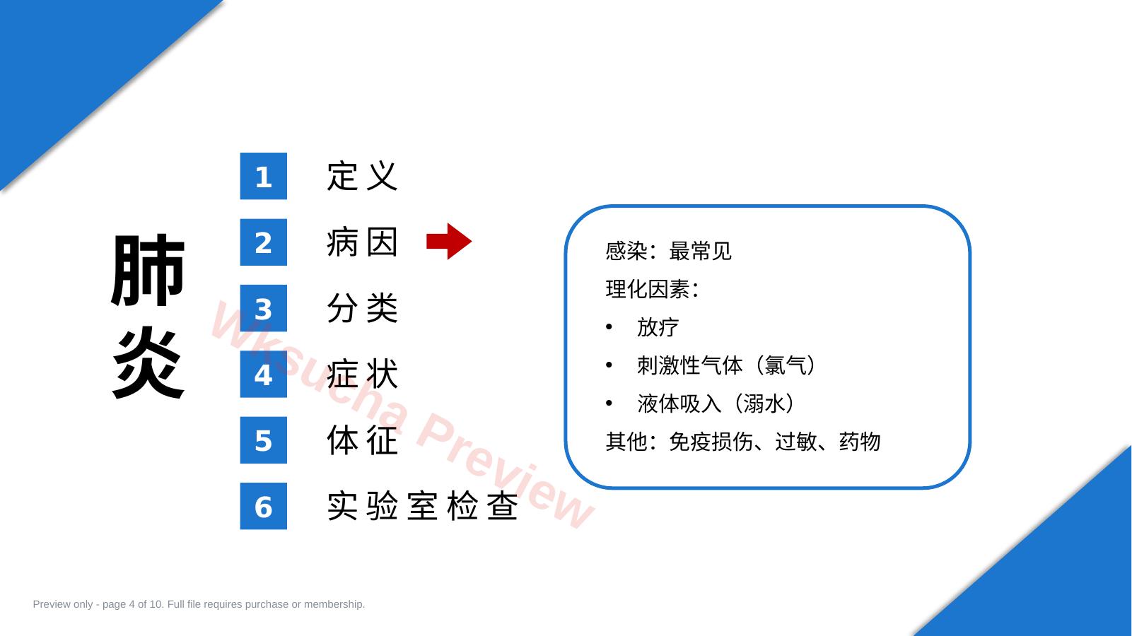 预览第 4 页