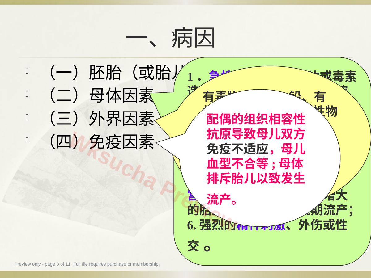 预览第 3 页