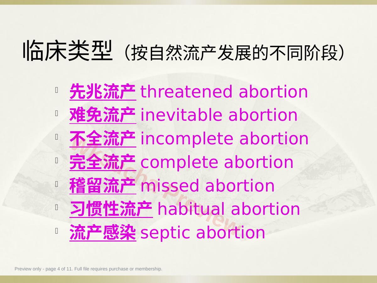 预览第 4 页