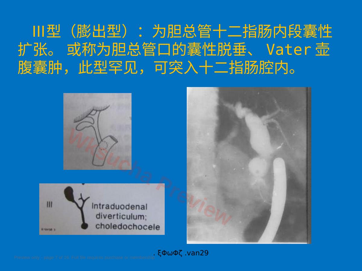 预览第 7 页
