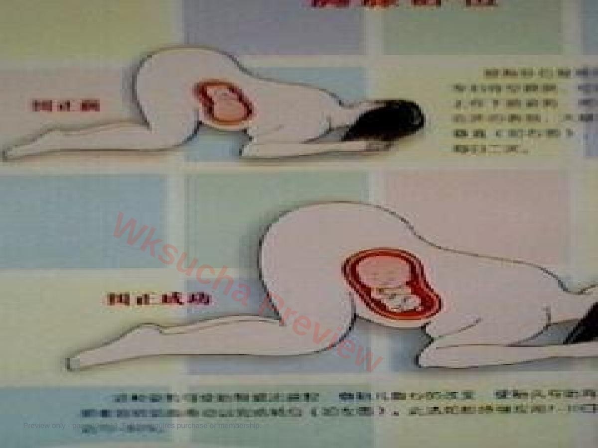 预览第 10 页