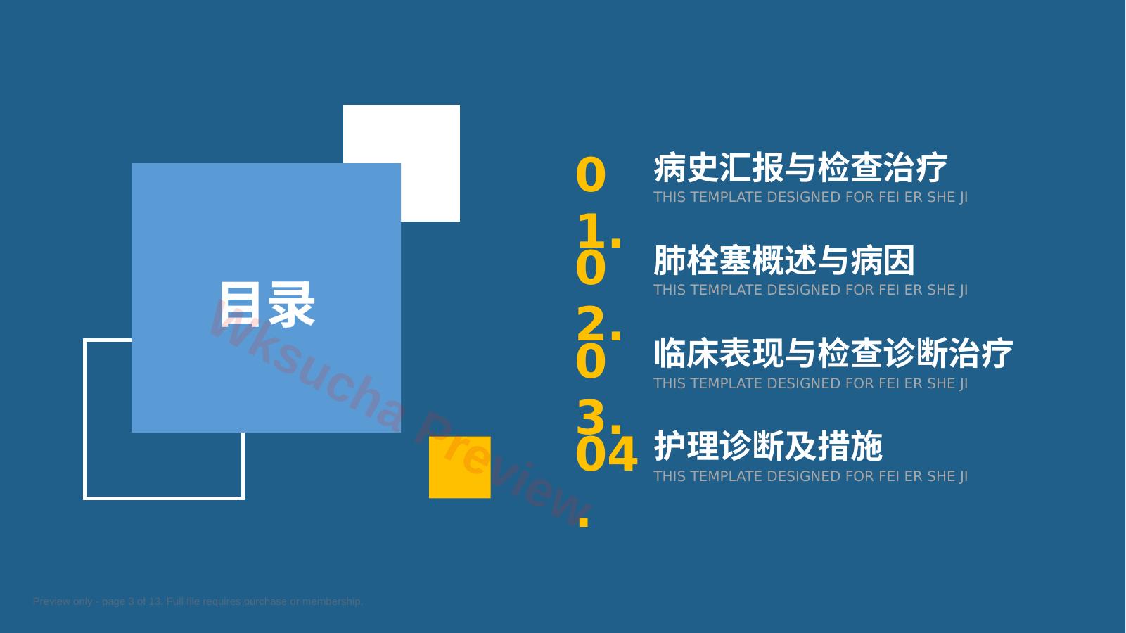 预览第 3 页