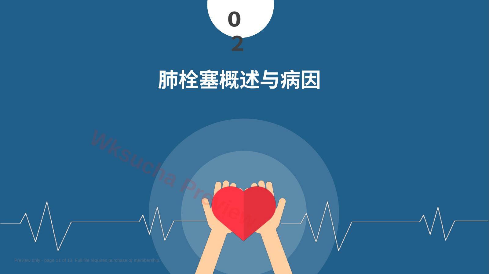 预览第 11 页