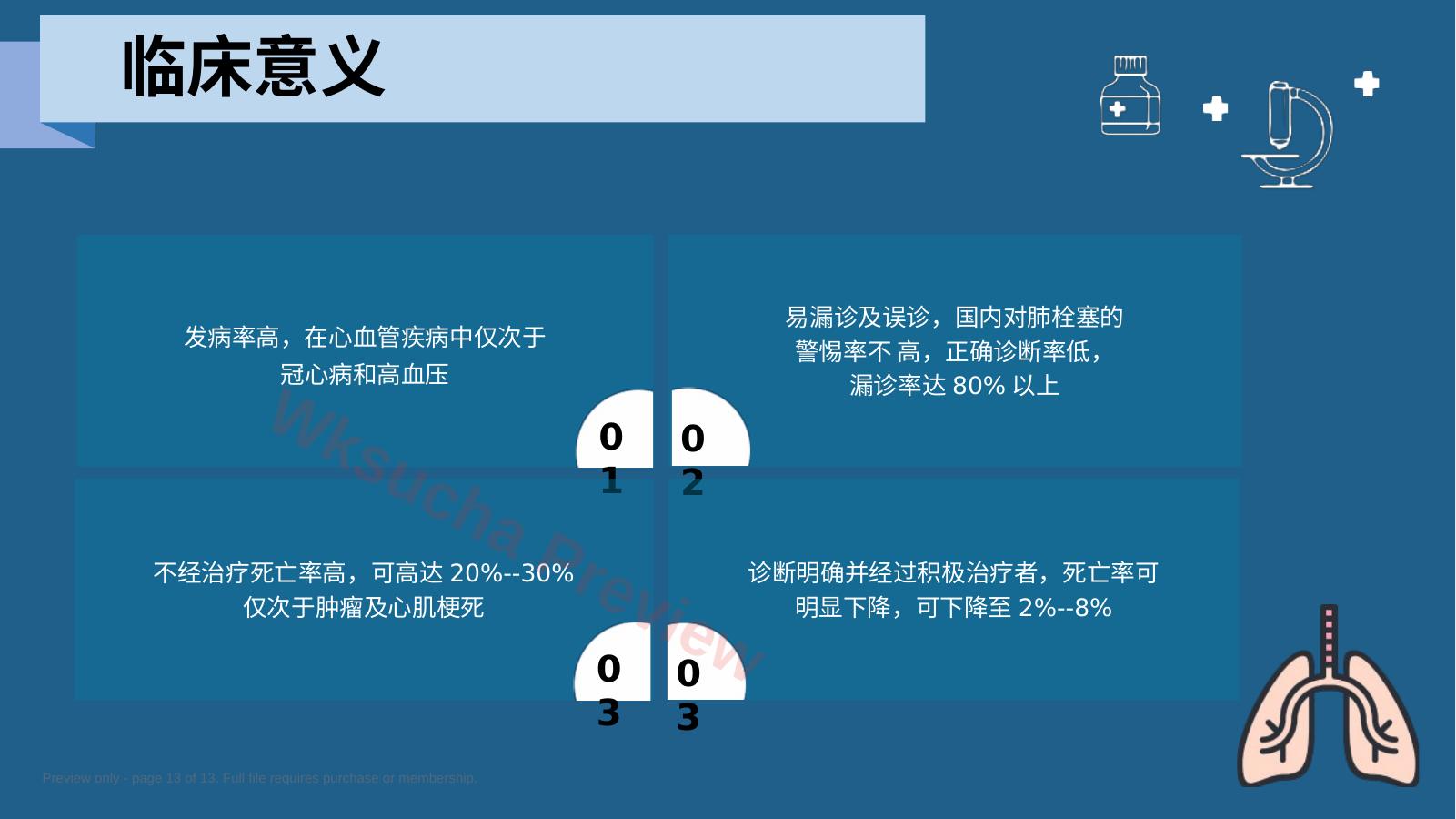 预览第 13 页