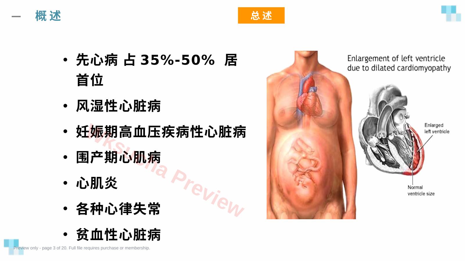 预览第 3 页