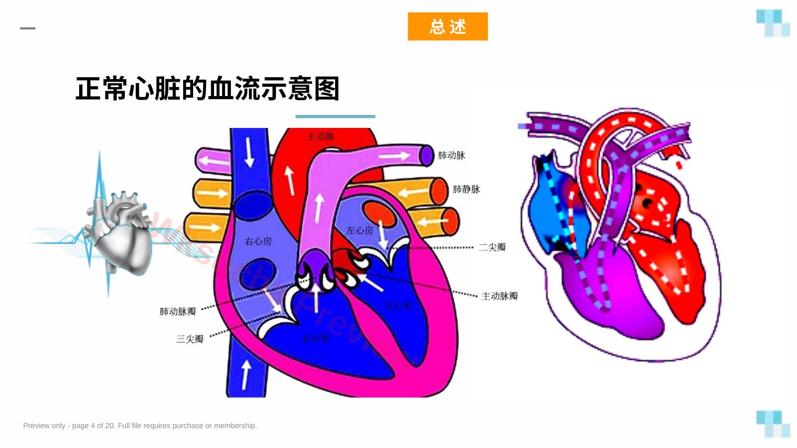 预览第 4 页
