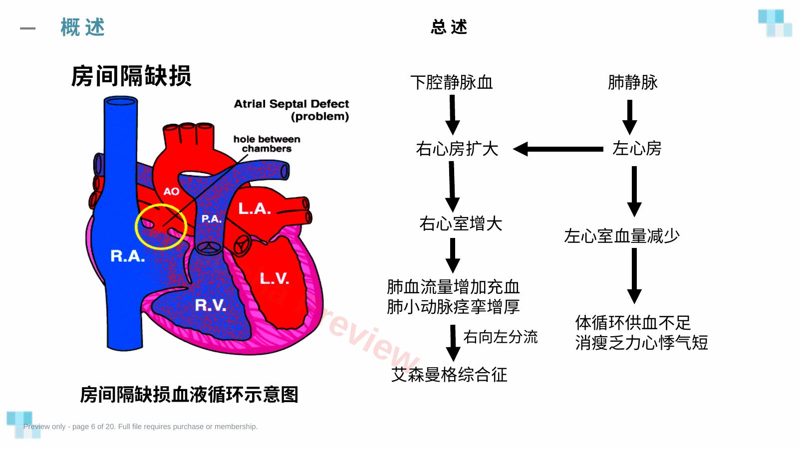 预览第 6 页