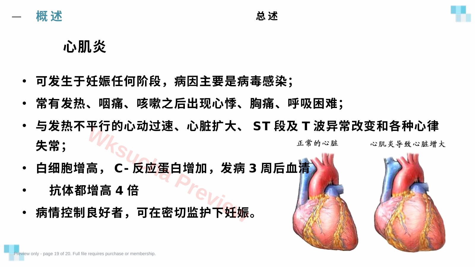 预览第 19 页