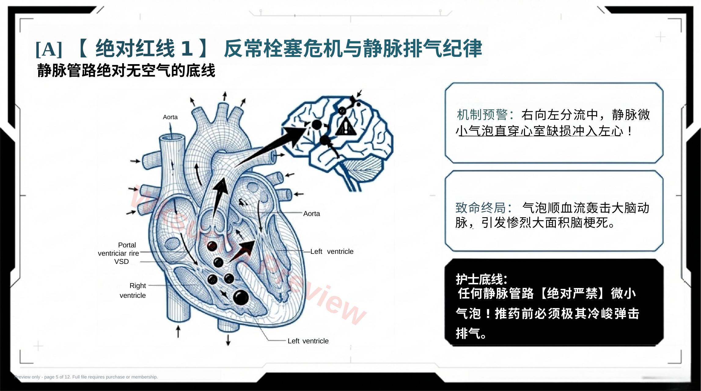 预览第 5 页