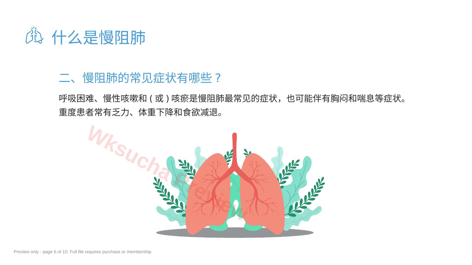 预览第 6 页