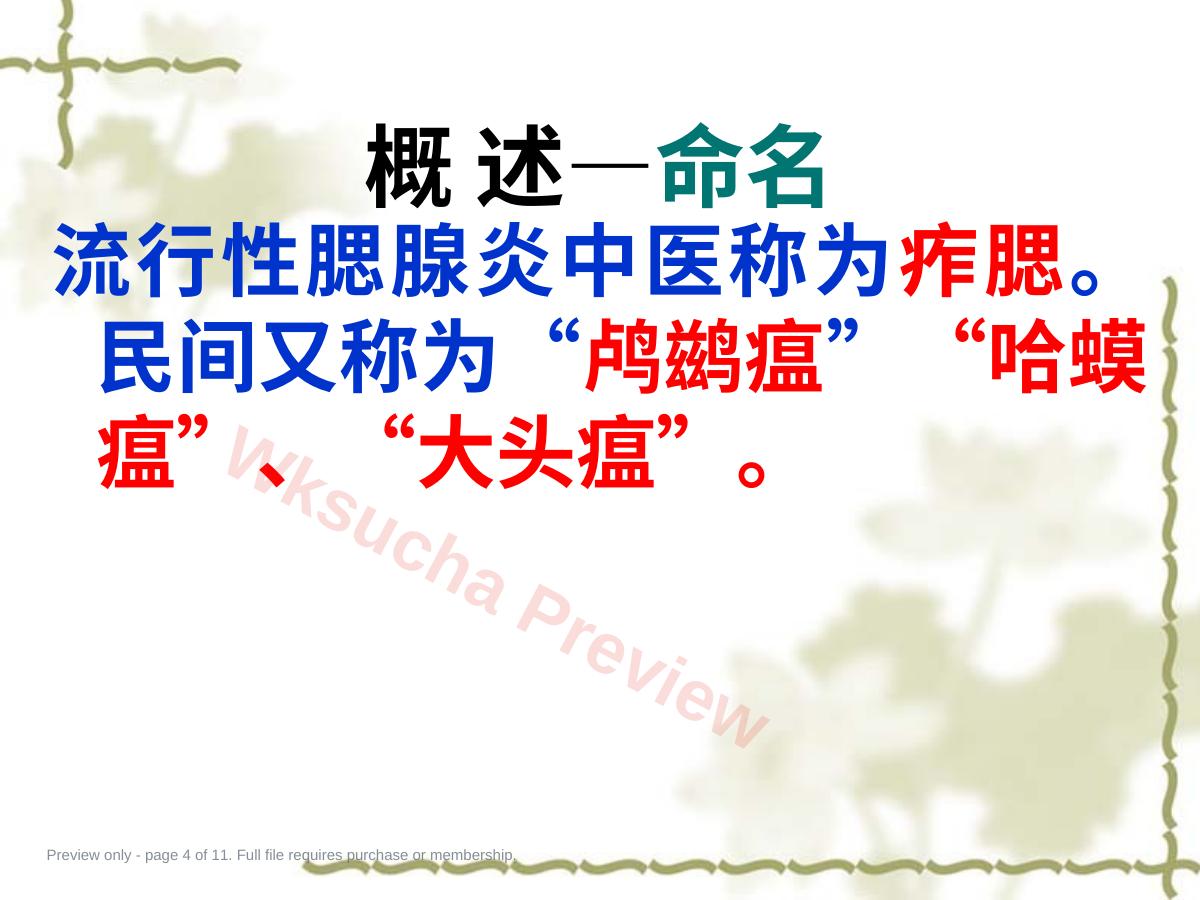 预览第 4 页