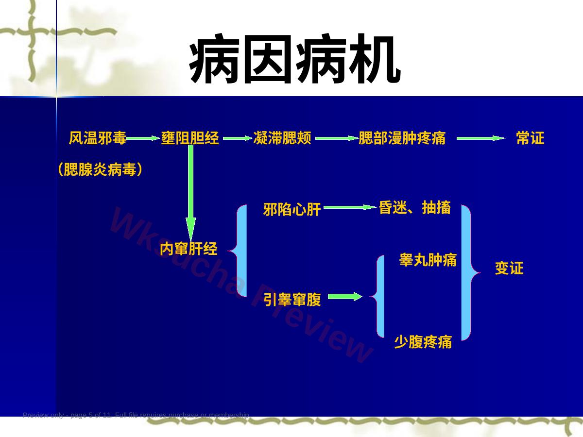 预览第 5 页