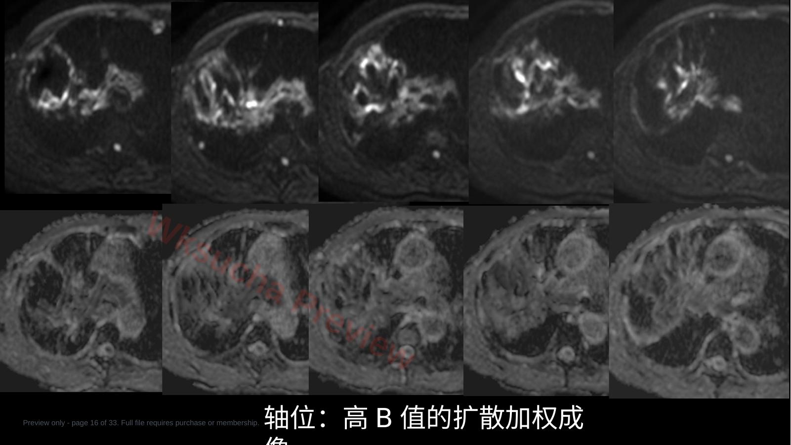 预览第 16 页