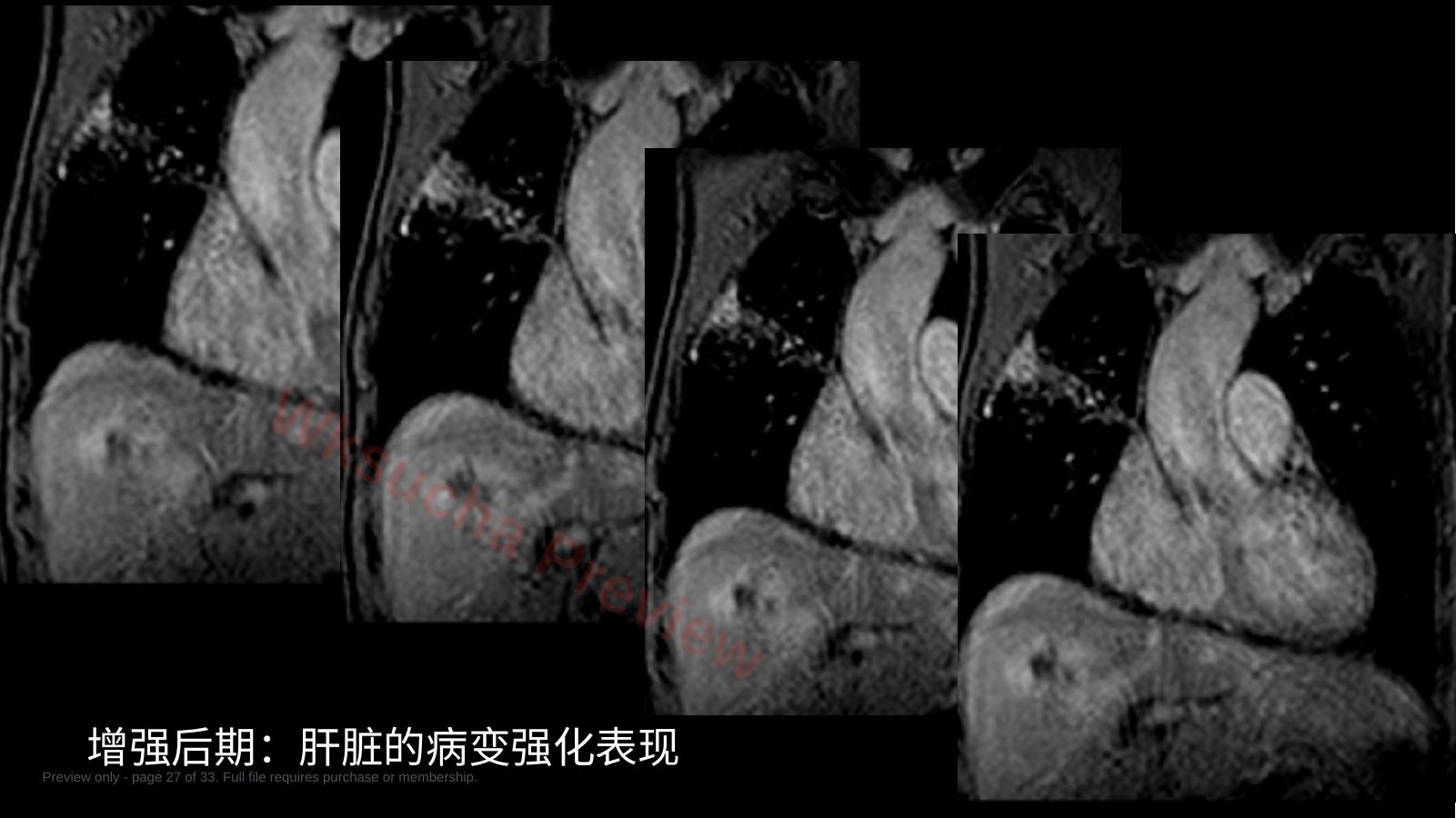预览第 27 页
