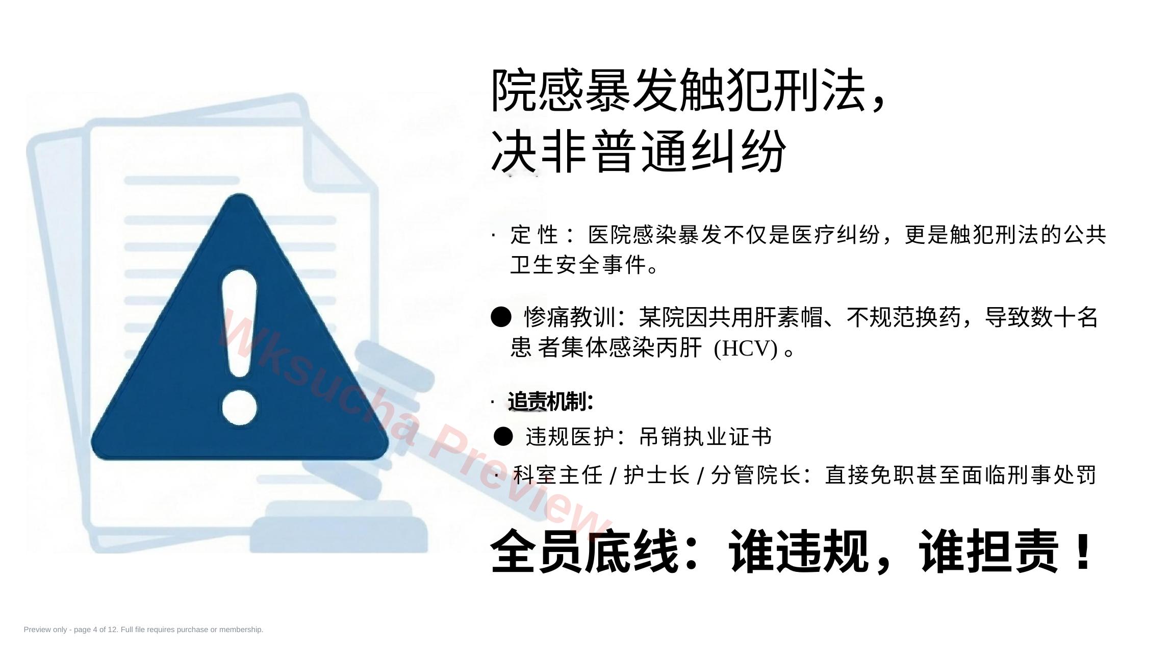 预览第 4 页