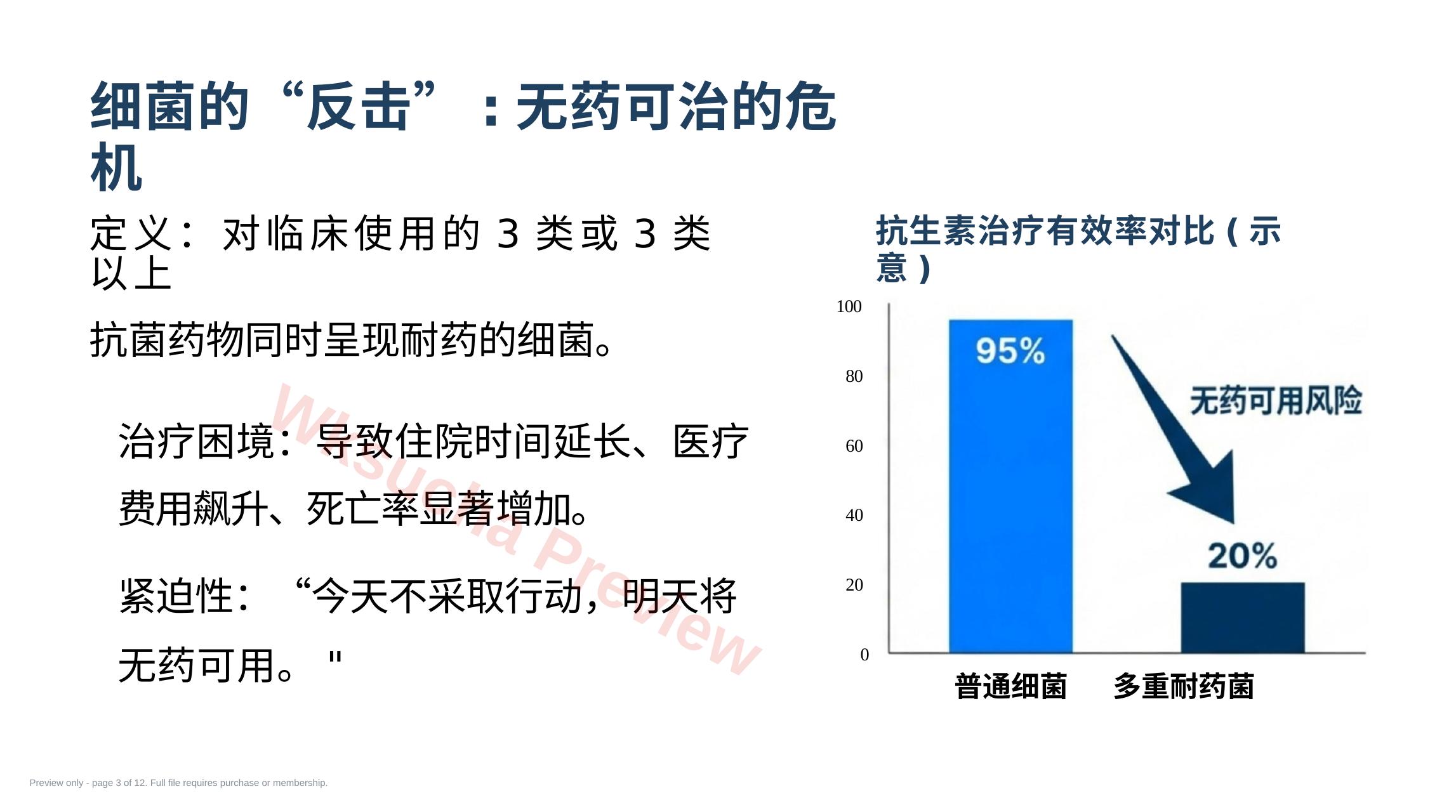 预览第 3 页