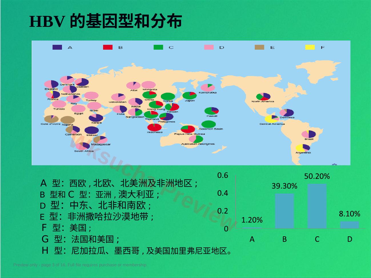 预览第 3 页