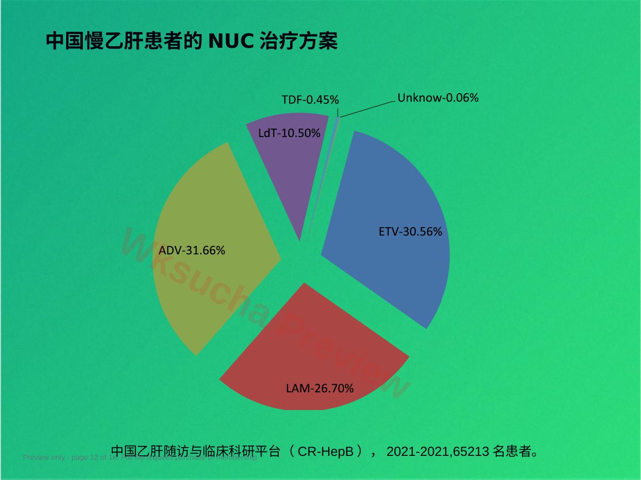 预览第 12 页