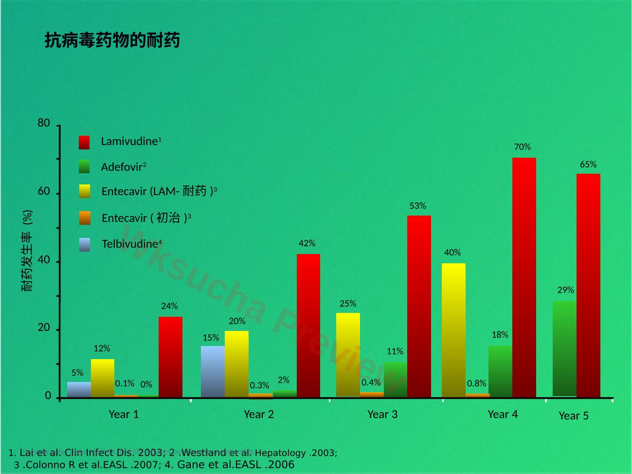 预览第 13 页