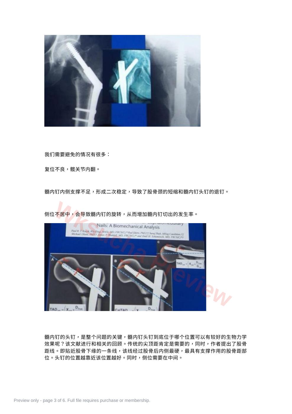 预览第 3 页