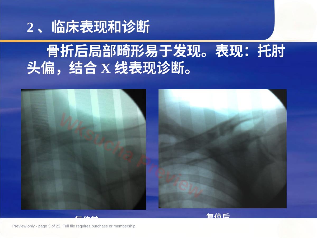 预览第 3 页