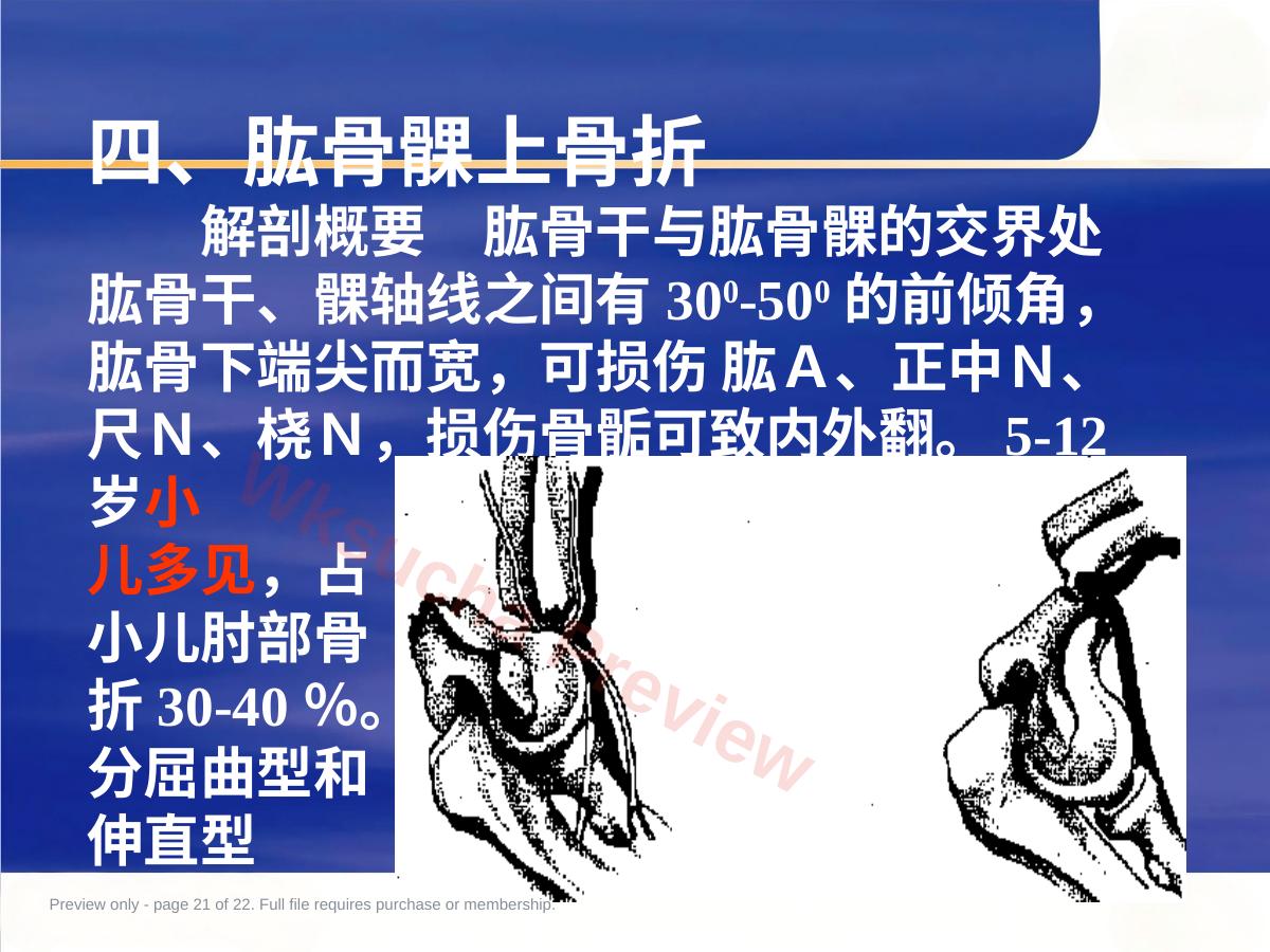 预览第 21 页