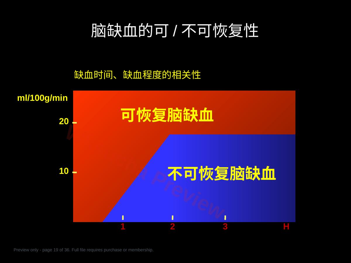 预览第 19 页