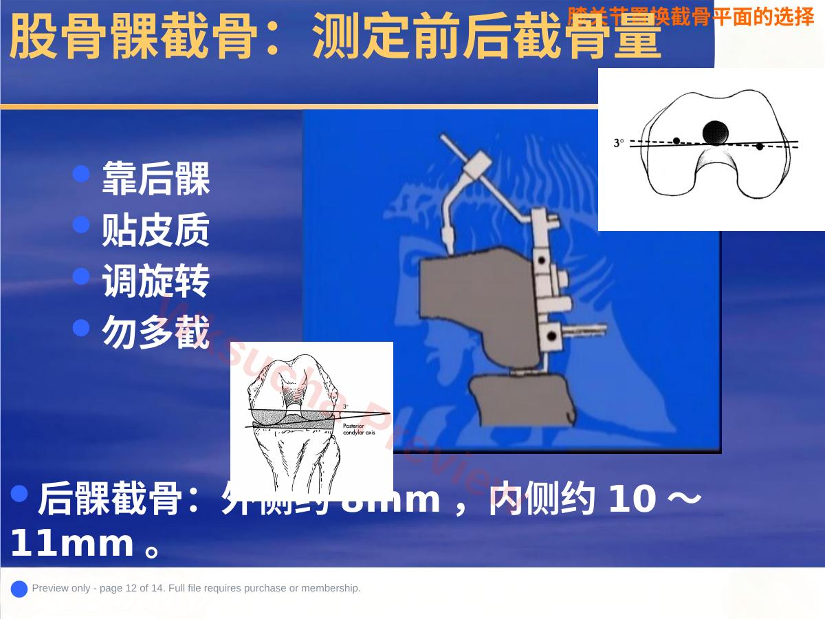 预览第 12 页