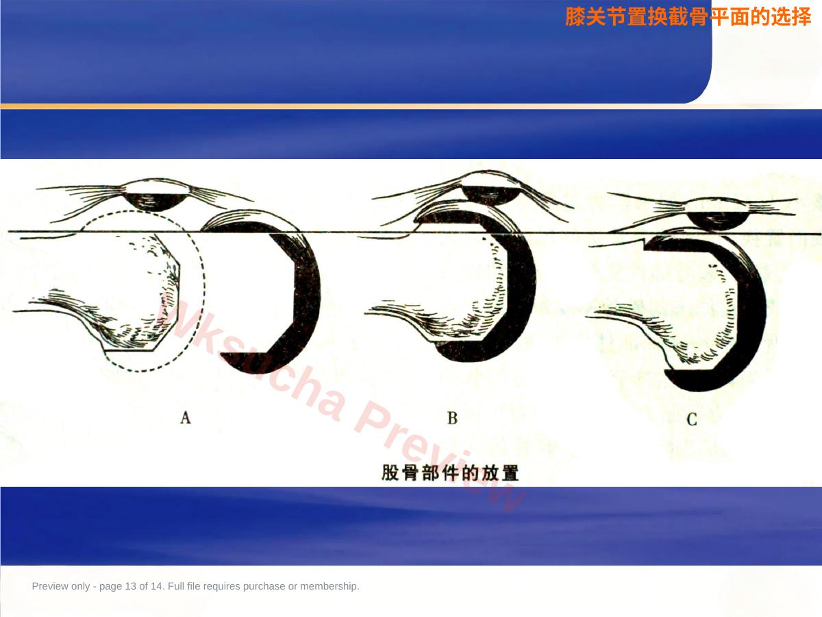 预览第 13 页