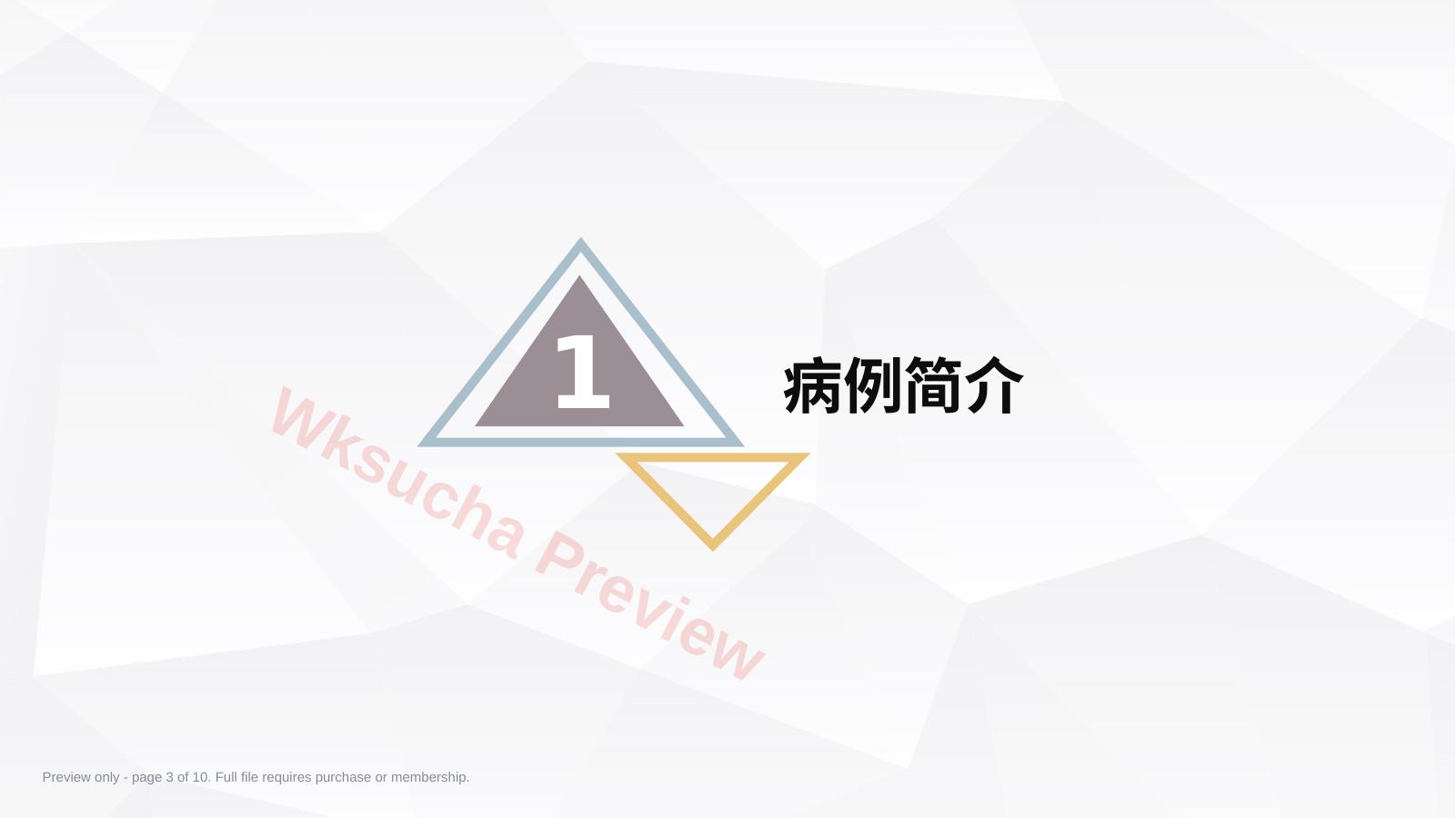 预览第 3 页