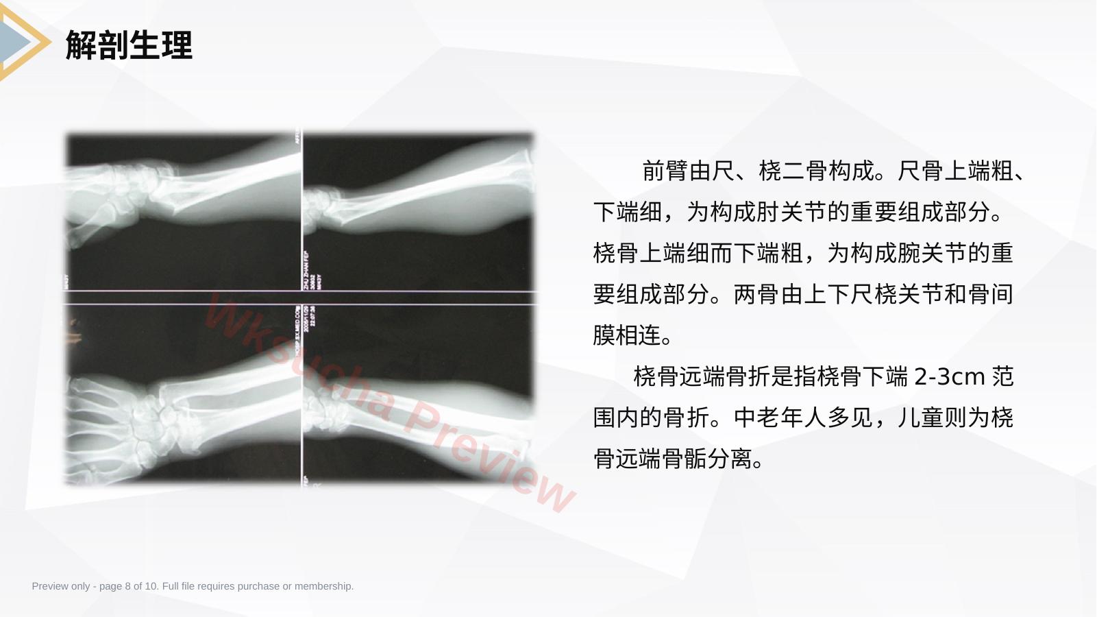 预览第 8 页