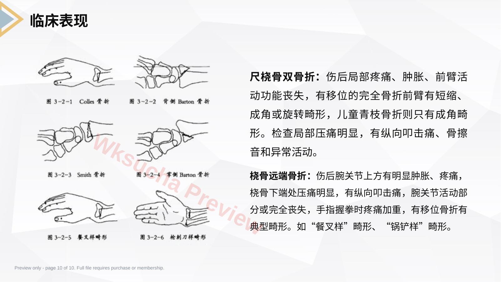 预览第 10 页