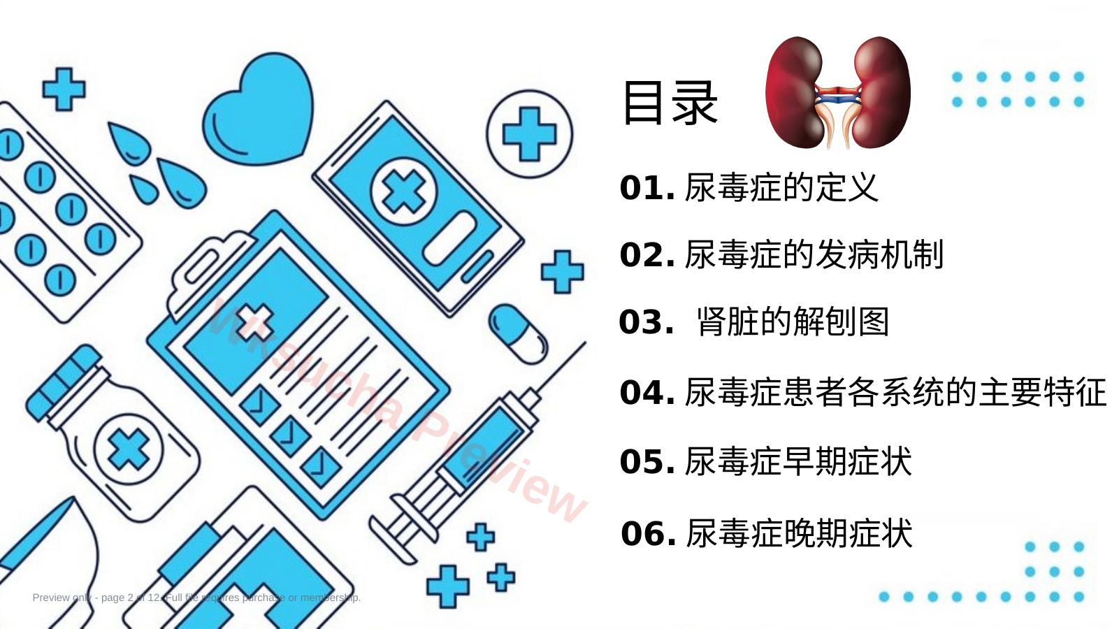 预览第 2 页