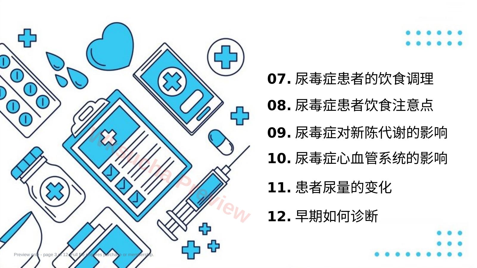 预览第 3 页