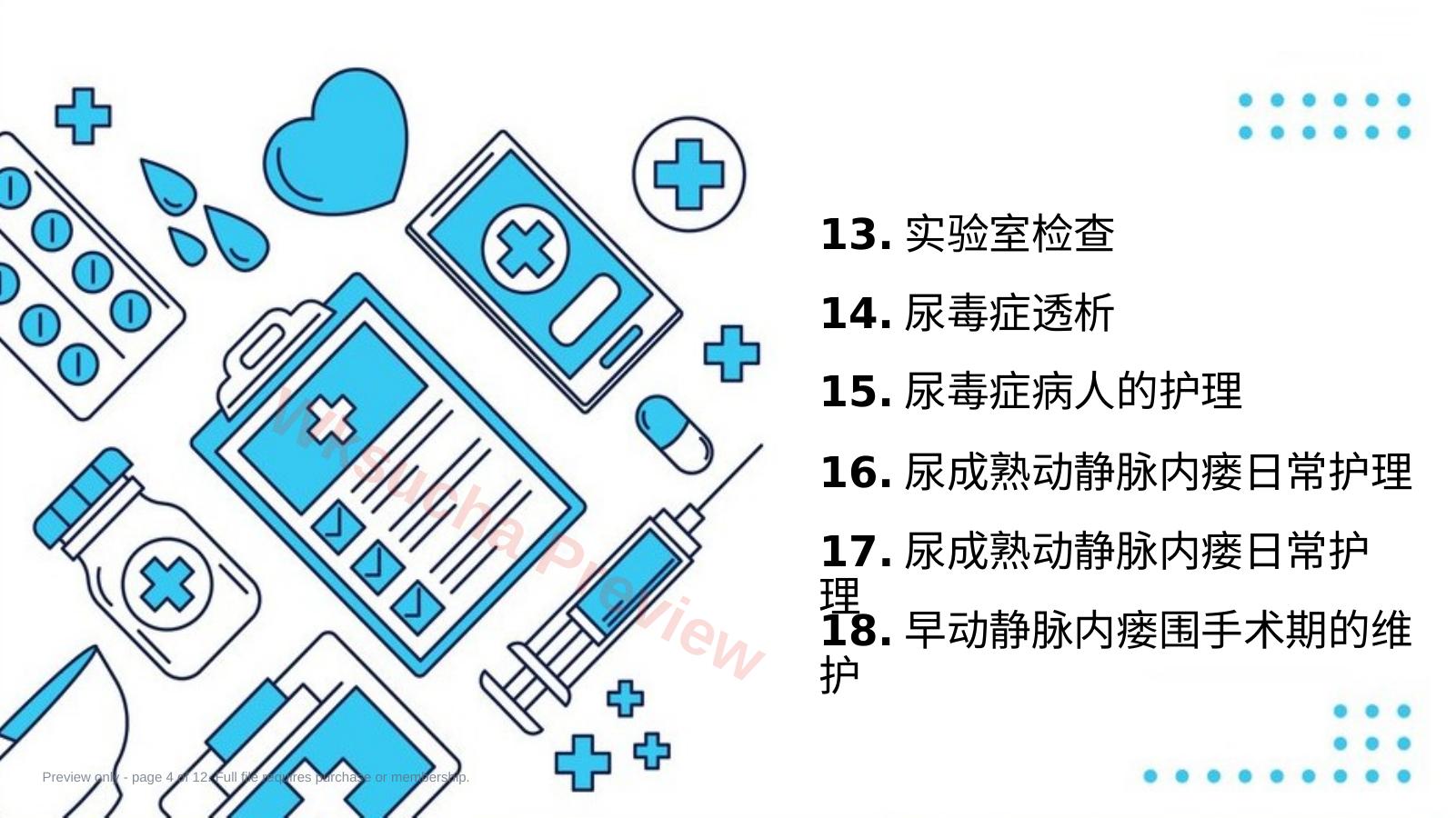 预览第 4 页