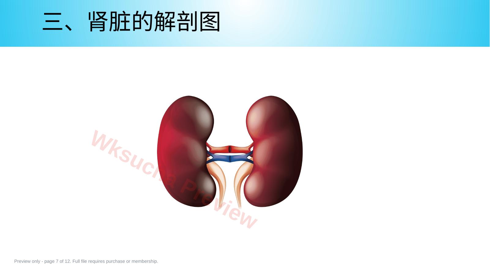 预览第 7 页