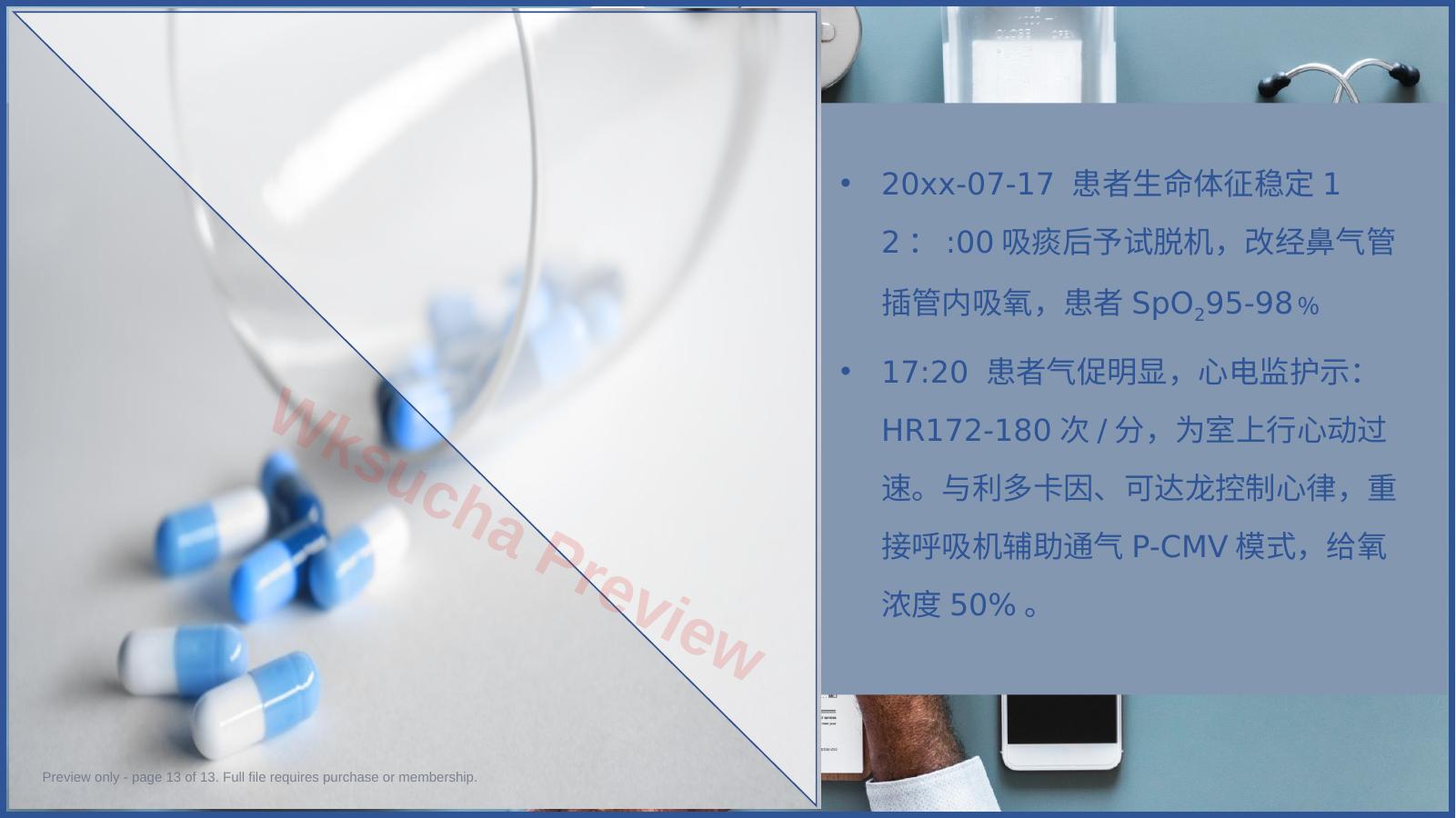 预览第 13 页