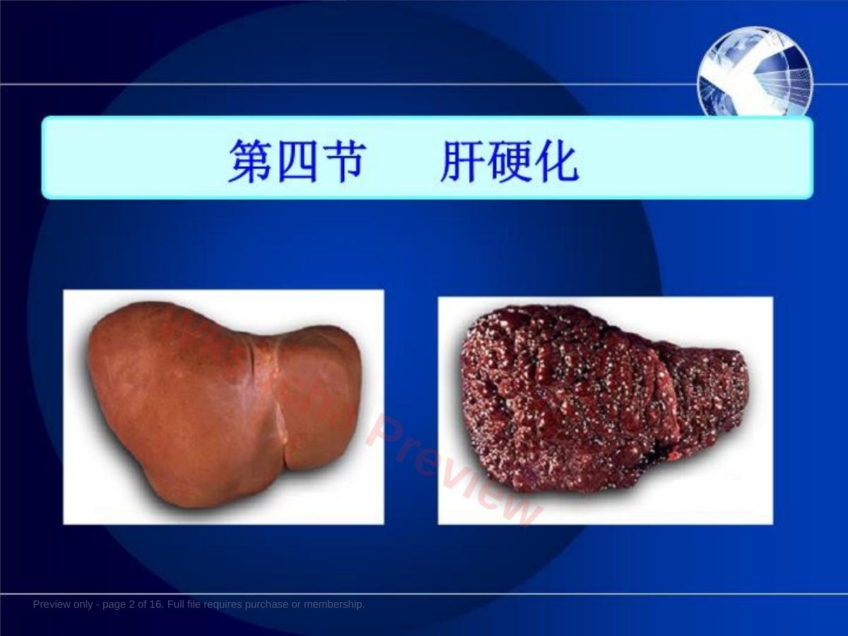 预览第 2 页
