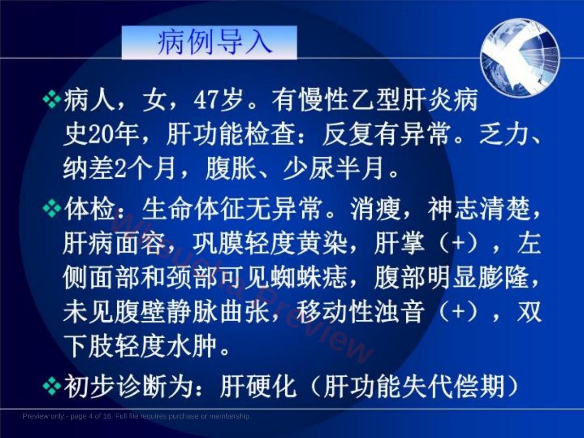 预览第 4 页