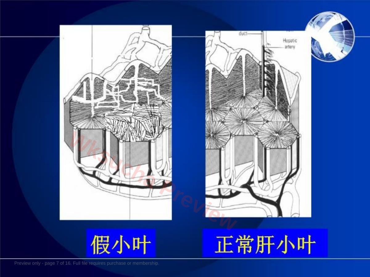 预览第 7 页