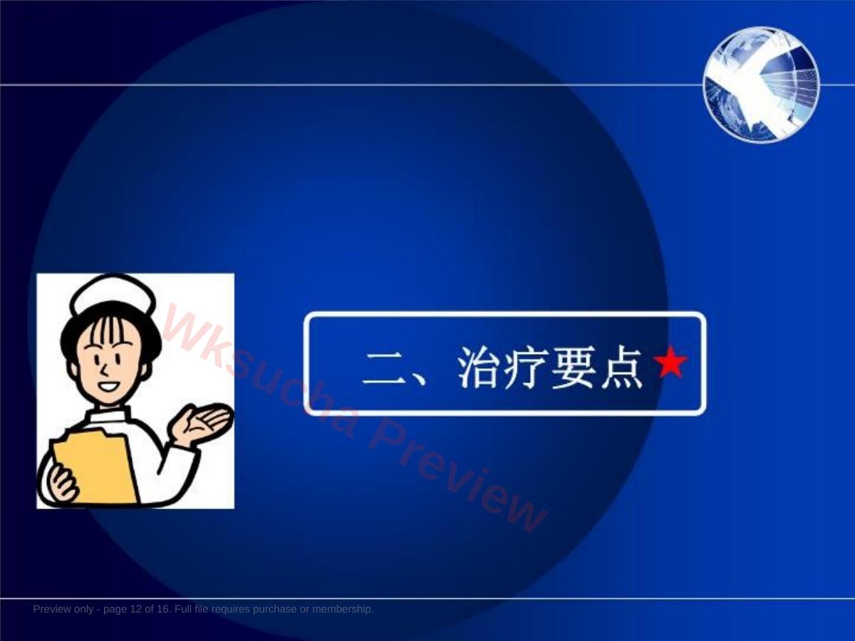 预览第 12 页