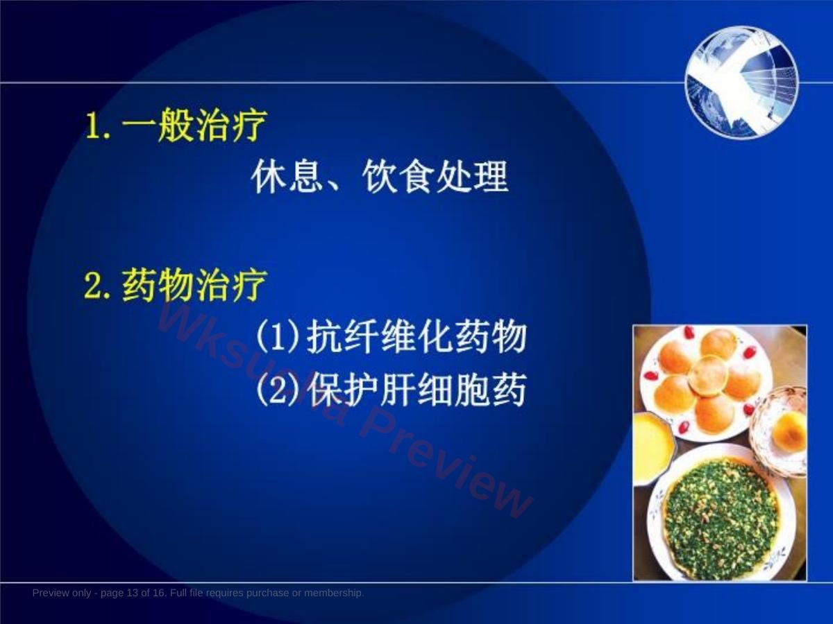预览第 13 页