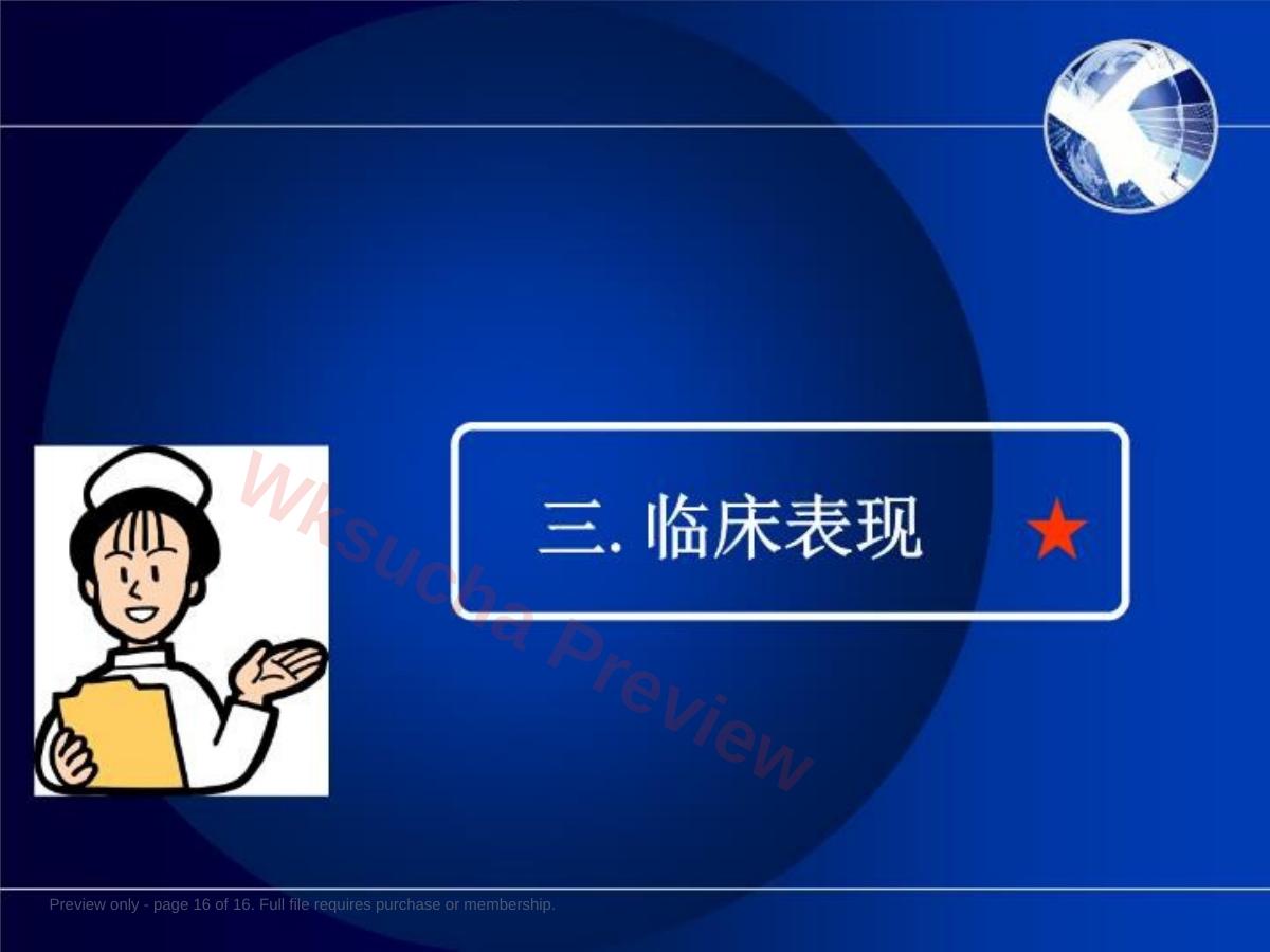 预览第 16 页