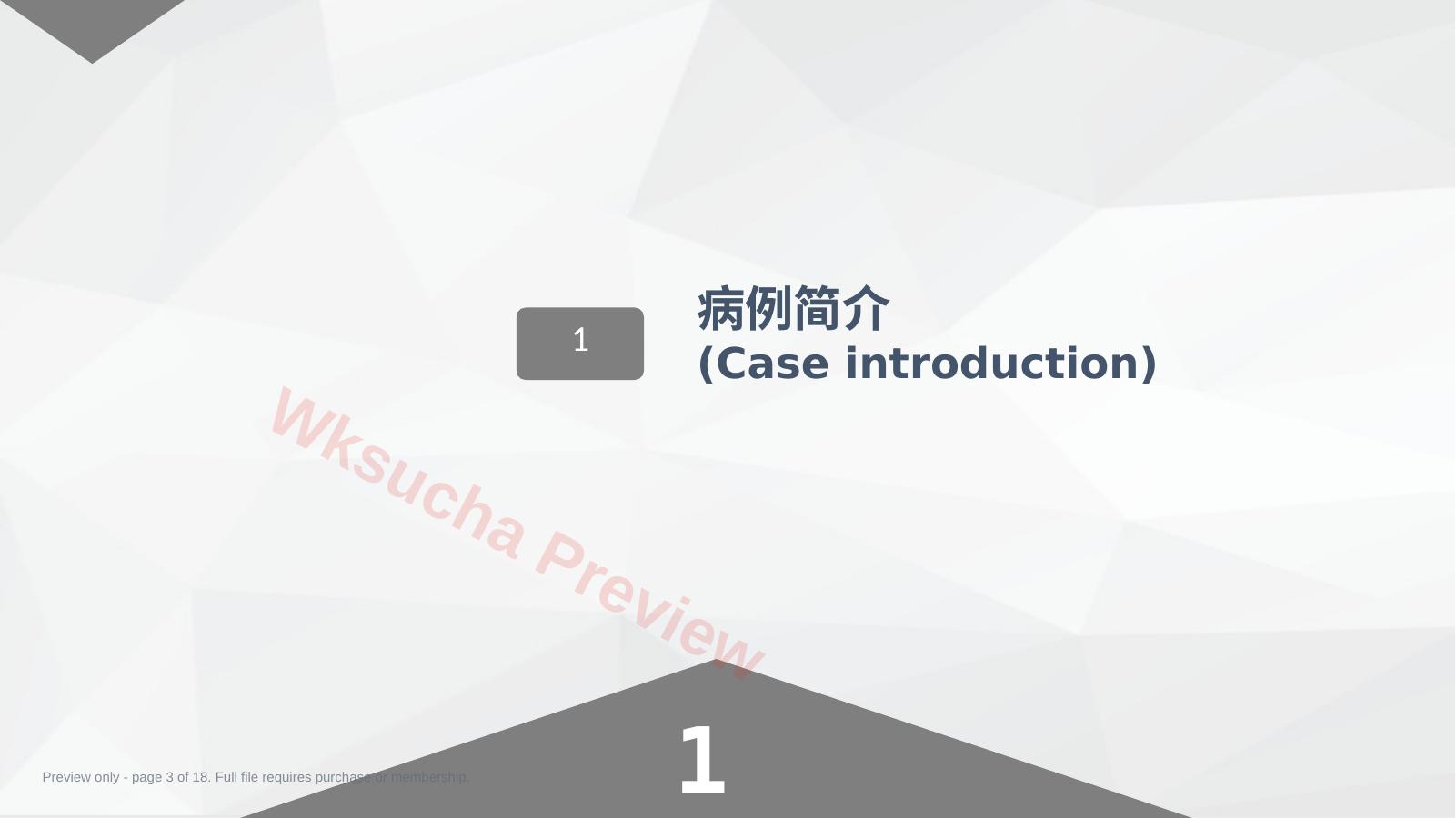 预览第 3 页
