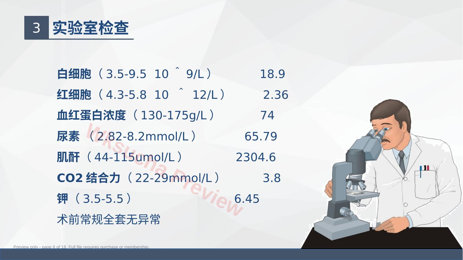预览第 6 页