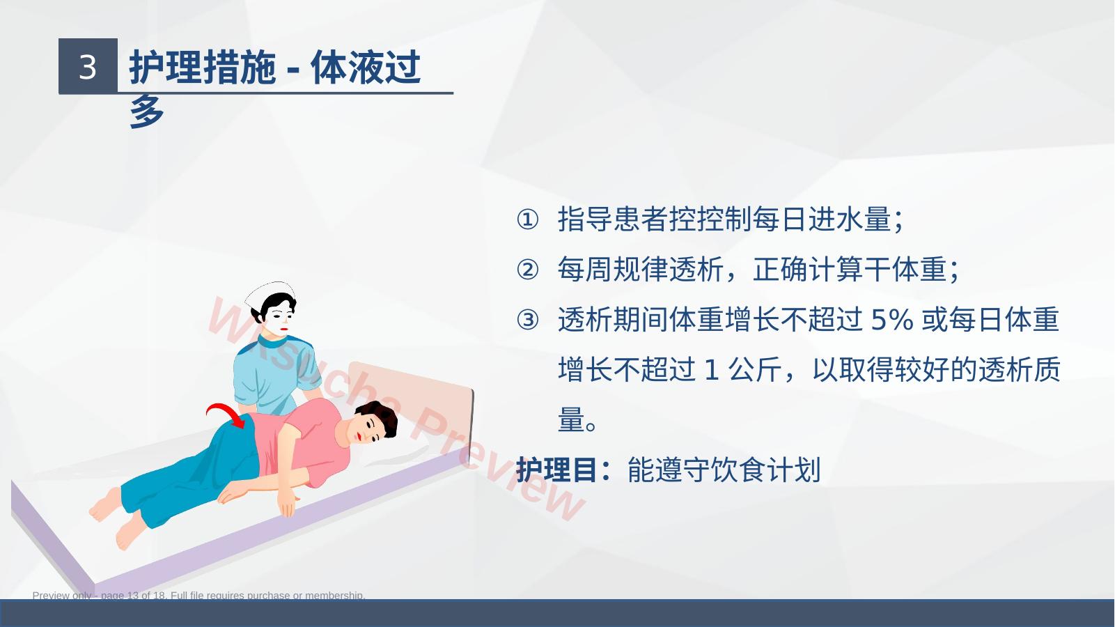 预览第 13 页