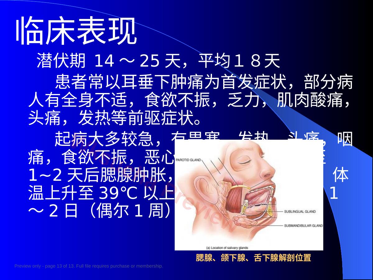 预览第 13 页