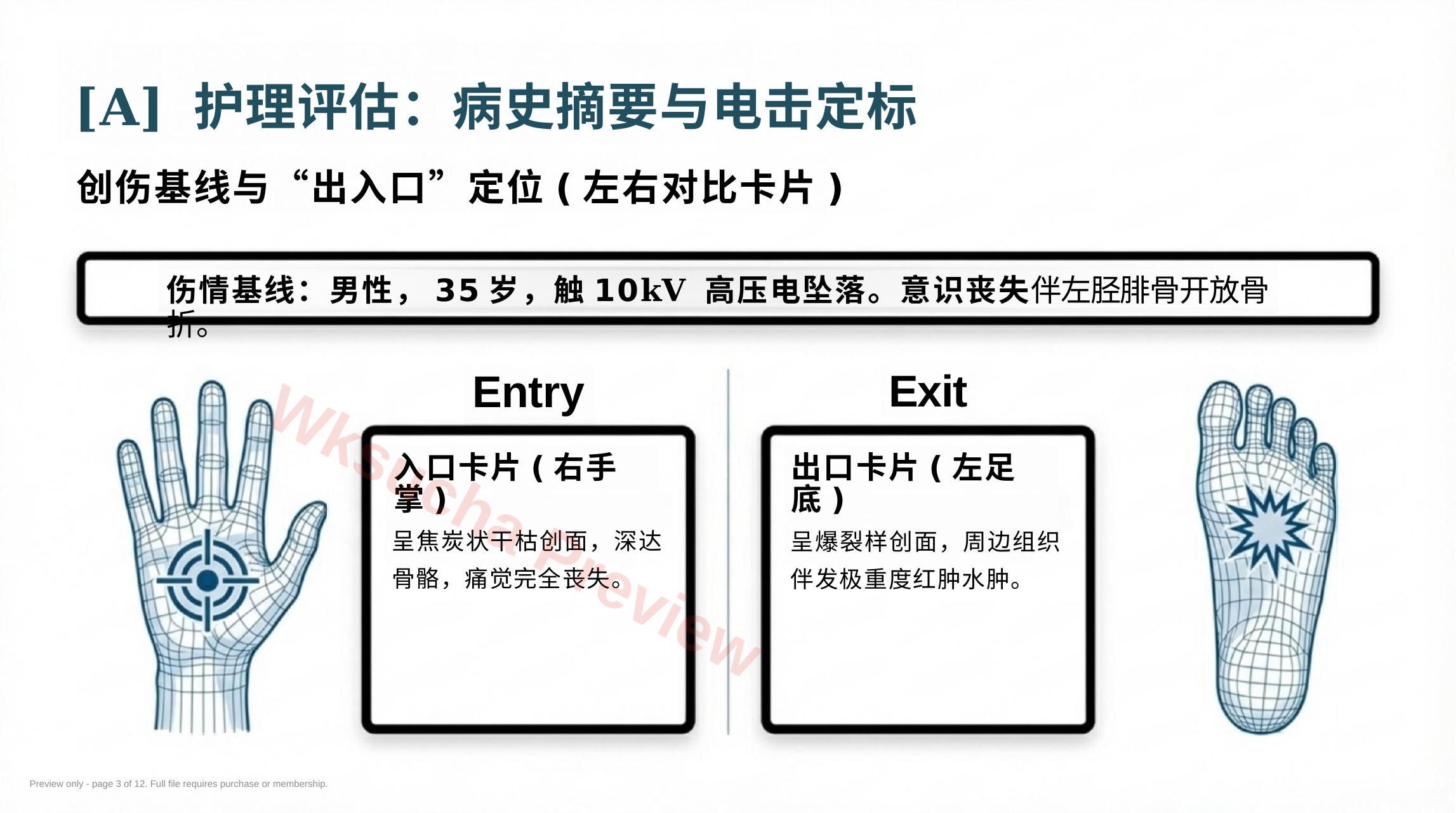 预览第 3 页